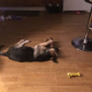 Meet your Posher, Percy